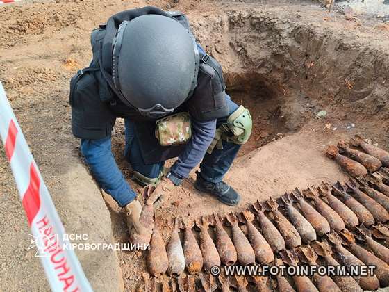 На Кіровоградщині на подвір'ї приватного будинку знайшли майже пів сотні мінометних мін (ФОТО)